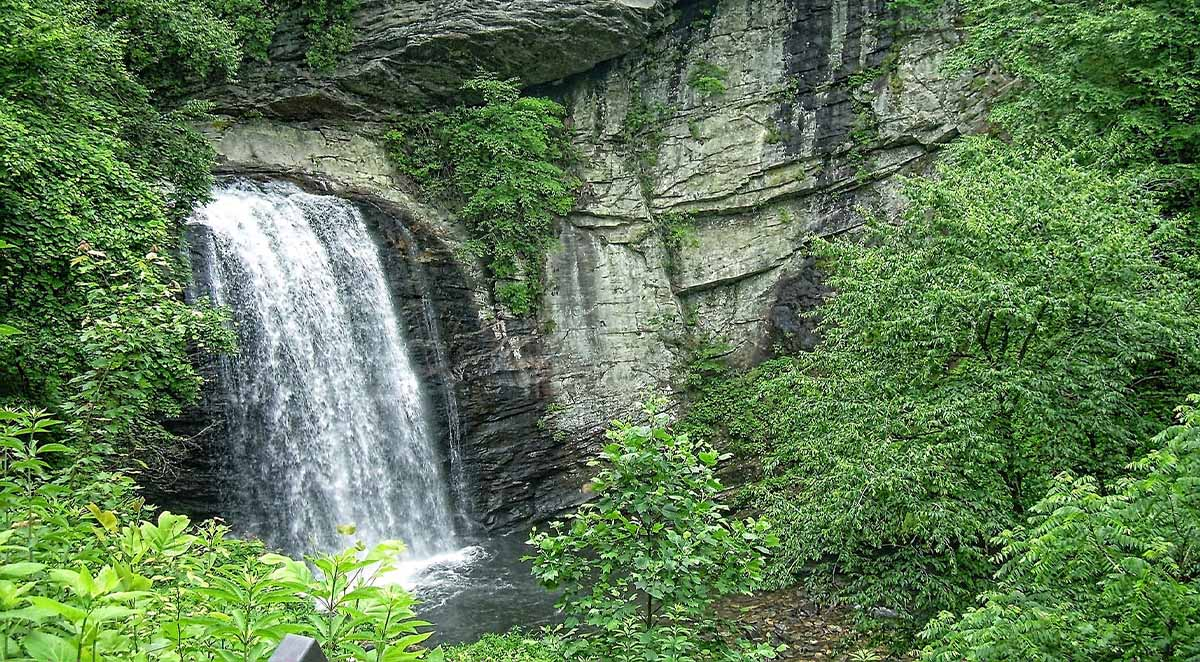 8 Things for Seniors to Do During Spring in Asheville, NC