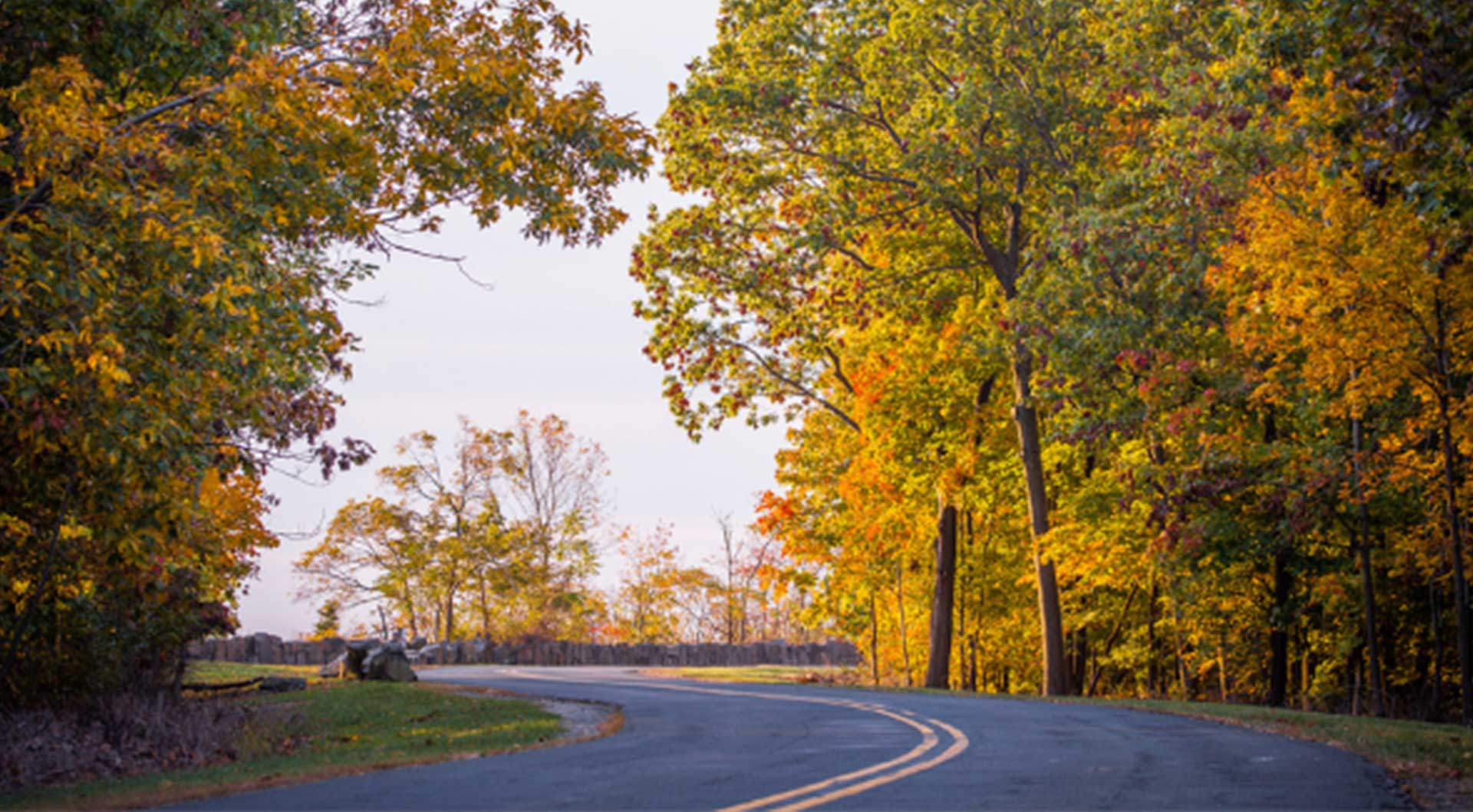 Fall Fun for Seniors in Western North Carolina