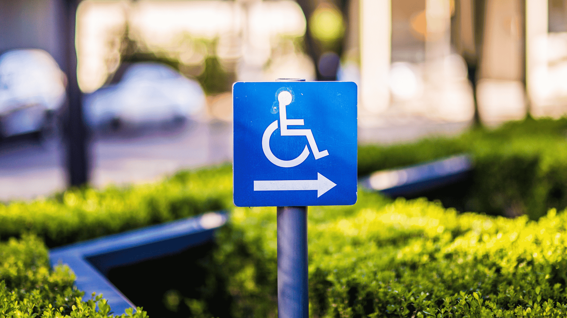 Disability Transportation, Swannanoa NC